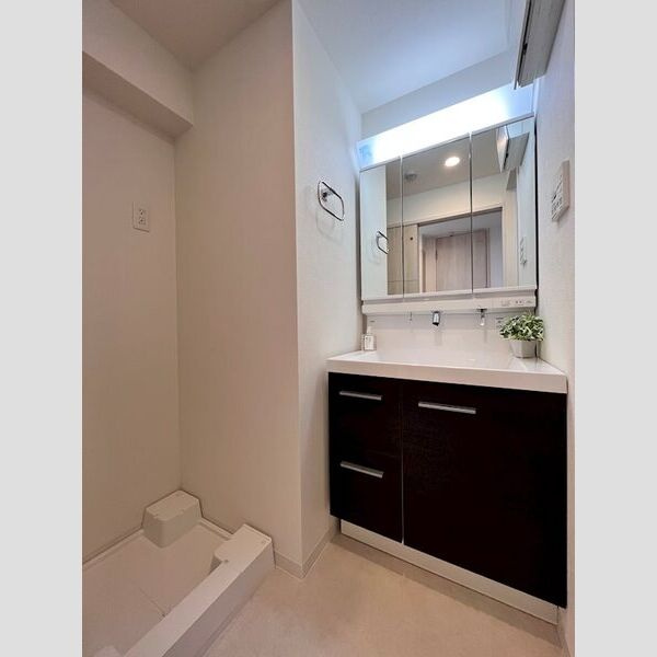 グランディア大阪ノースの洗面所