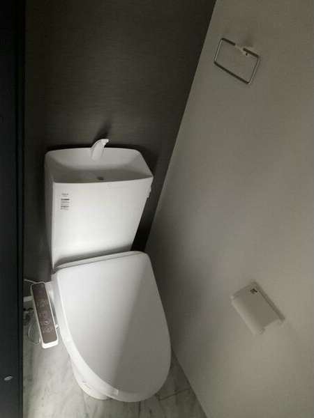 Pierre Homme(ピエール・オム)Ⅳのトイレ