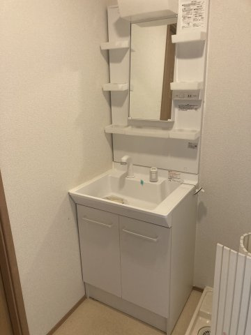 アリエッタ常盤台の洗面所