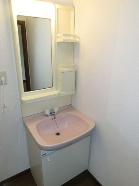 アップルヴィレッジ Z棟の洗面所