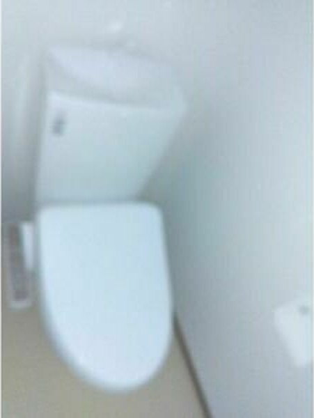 Luana Haleのトイレ