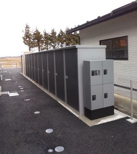 Luana Haleのその他