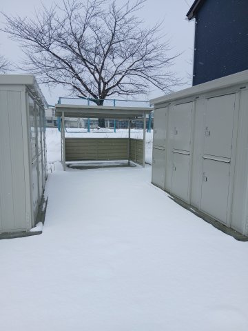 LebeL vierのその他