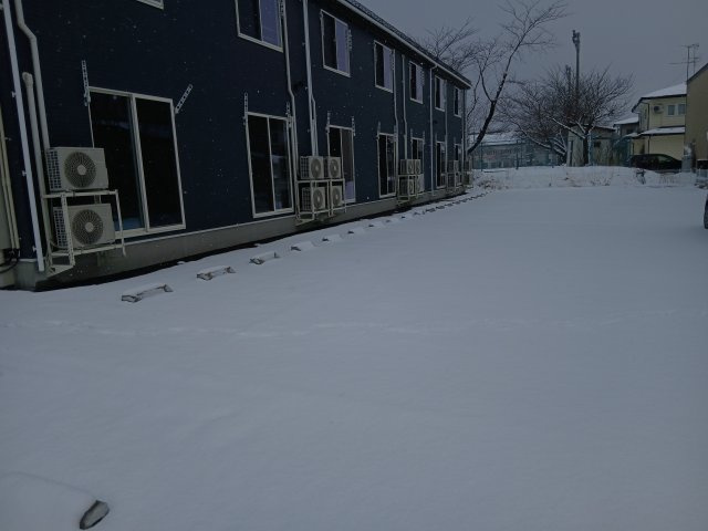 LebeL vierのその他