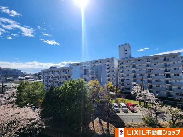 久喜スカイハイツの展望