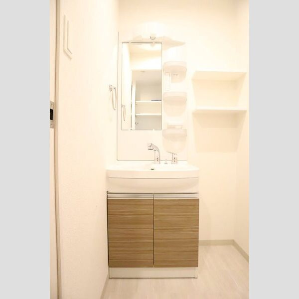 LA CASA新北野Ⅱの洗面所