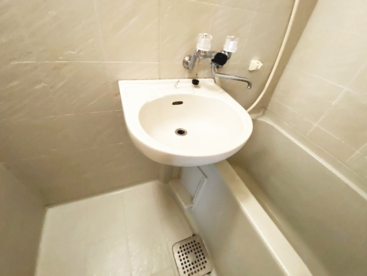ビオレータ宝塚の洗面所|落ち着いた空間のお風呂です