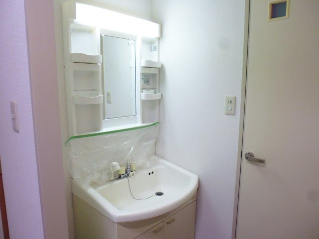 セルサス大道壱番館の洗面所