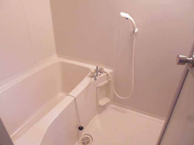 セルサス大道壱番館の浴室