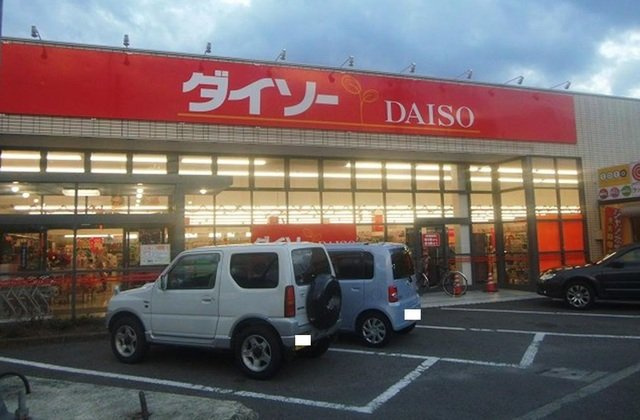 グレイス・ヴィラⅡの周辺|ダイソー　徳島城東店さんまで1100m
