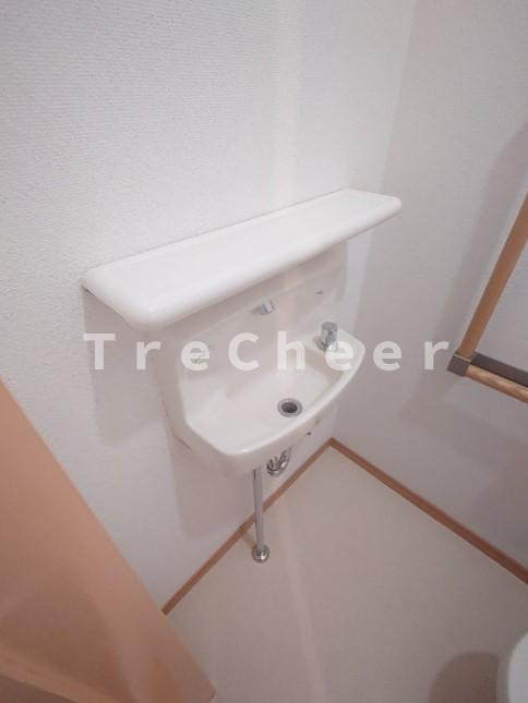 ヴィラ荒川3の洗面所