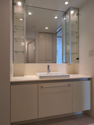 パークスタイルエクセオの洗面所