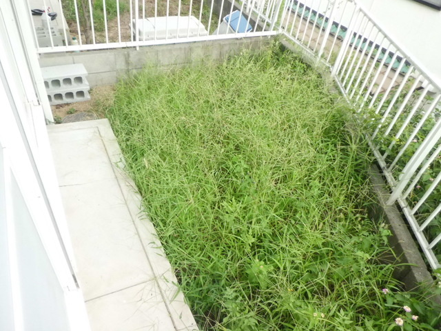 ハイツ赤坂 Bの庭