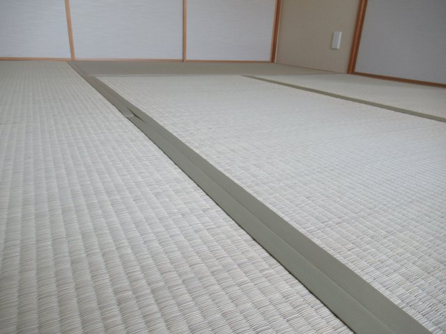 シティコート住吉本町３ＬＤＫの内装