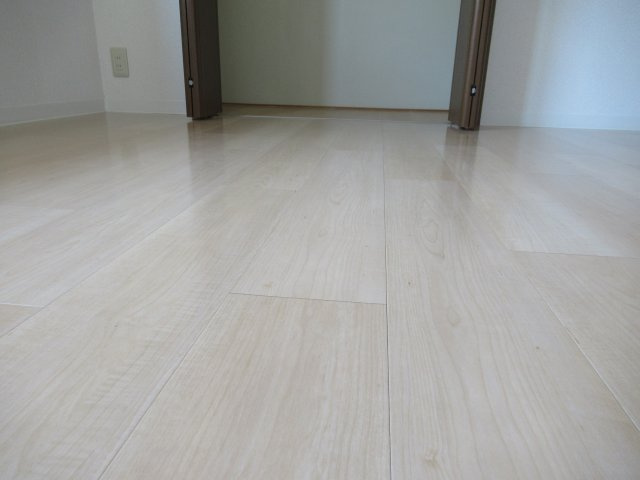 シティコート住吉本町３ＬＤＫの内装