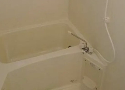 【浴室】 | アーリーバード