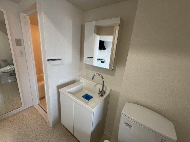 ドリームコート豊中の独立洗面台