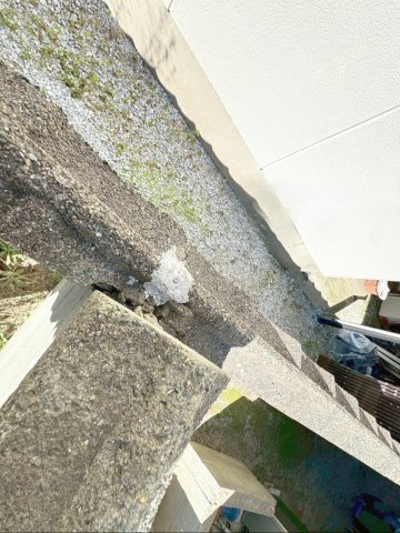 福岡市東区和白6丁目　土地のその他|境界標