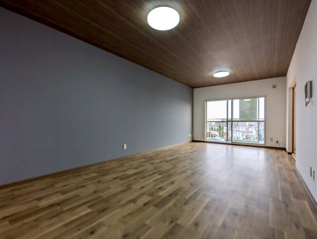 エステート治水【分譲MS】の洋室