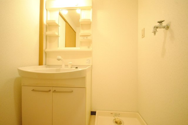 ファミールHIROの洗面所