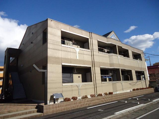 キャピタル　パイン