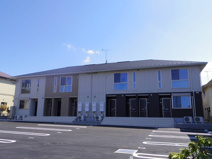 エル　カーサの画像