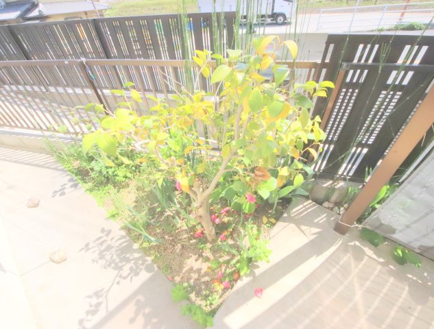 南田原町平屋の庭