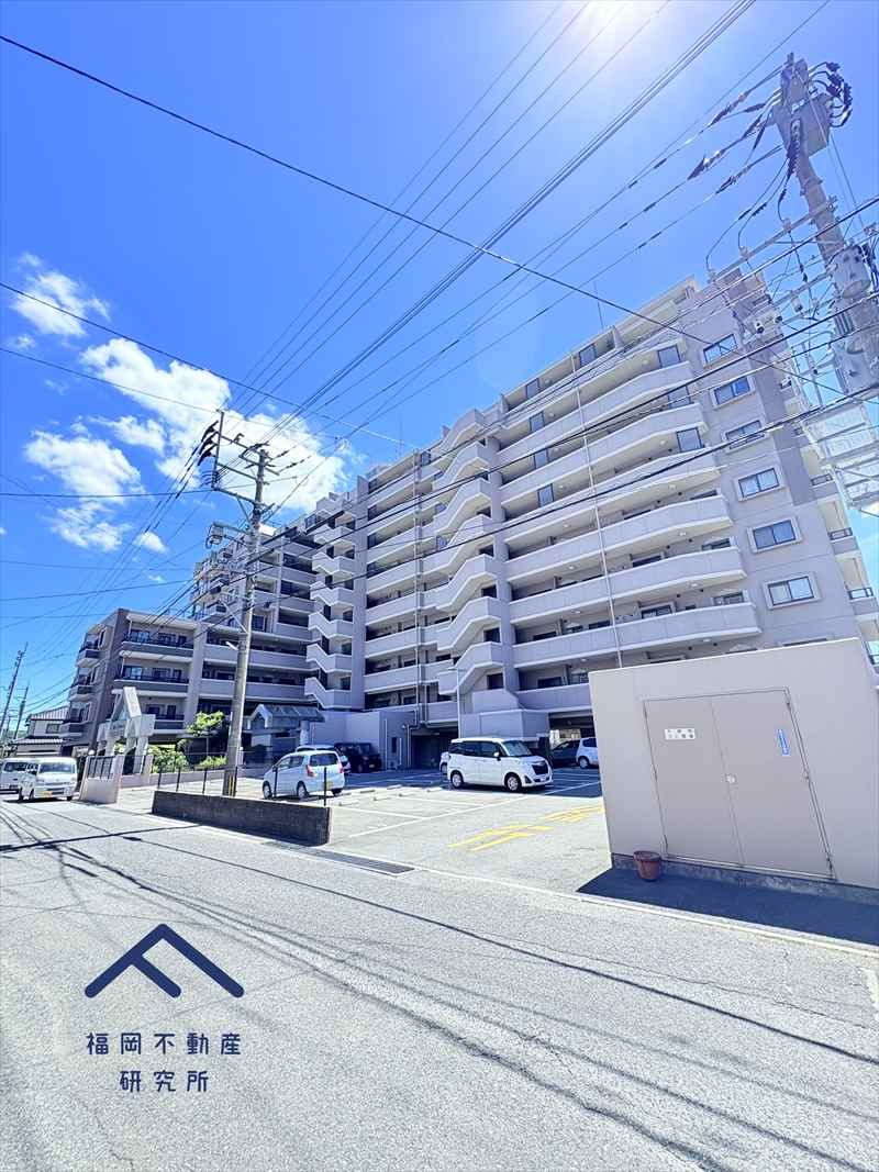 アンピール教育大前II