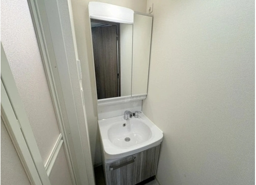 プレサンス東三国エンブレイスの洗面所