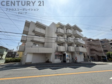 トロント８０の画像