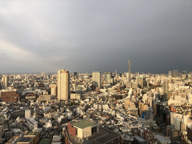富久クロスコンフォートタワーの展望