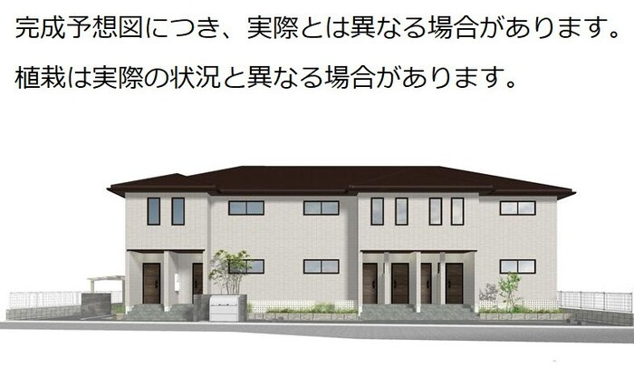 Ranunculus(ﾗﾅﾝｷｭﾗｽ)