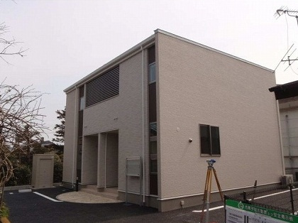 シトラスの画像