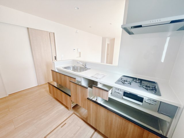 【新築戸建】高崎市日光町24-1期のキッチン|調理器具の出し入れが便利なスライド収納♪毎日家事を頑張る皆さまにおすすめしたいポイントです(*^^*)