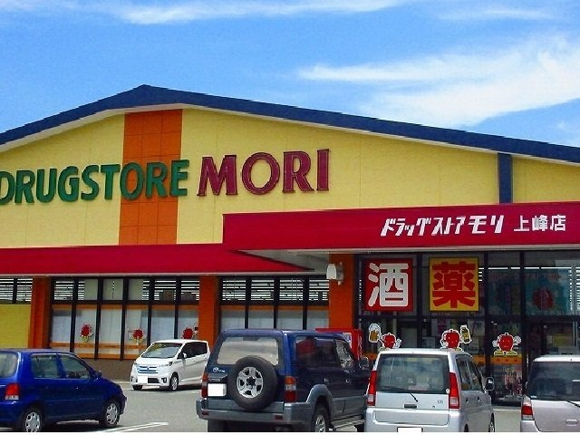 桜ガルデンⅠの周辺|ドラッグストアモリまで1200m