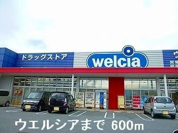 【周辺】 | エーデル | ウェルシアまで600m