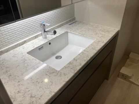 ブランズ大阪本町の独立洗面台