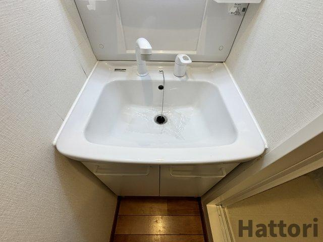 シバヤ中津の洗面所