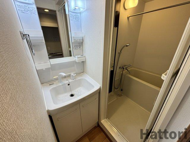 シバヤ中津の洗面所