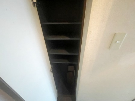 カーサムライのその他