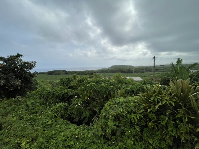 宮古島市城辺保良546-1　外2筆のその他