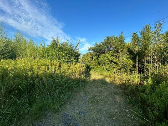 神栖市奥野谷　中古戸建の庭