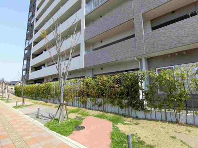 【外観】 | ビッグカーサ堺しらさぎ駅前ｔｏｗｅｒｃａｓａ　Ｄ棟 | 最上階の２３階部分ですので、風通しが良く景色が綺麗ですよ♪開放的な気持ちになりますね！