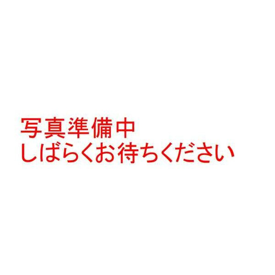 【区画図】 | プチメゾン稲生Ⅱ