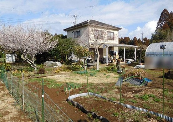 山武市麻生新田　中古戸建の外観|敷地約158坪　家庭菜園が可能です。２LDK  自然豊かな閑静な立地　ハウス内でサボテン栽培中