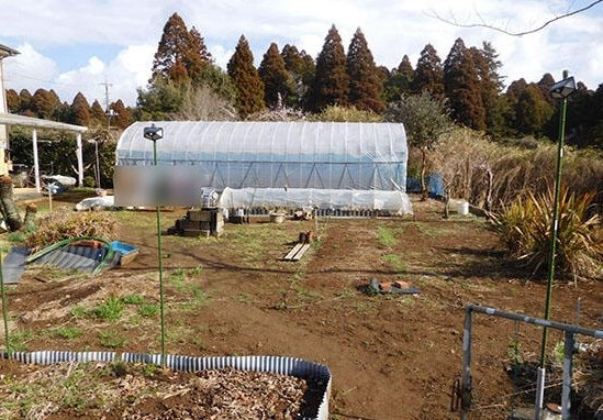 山武市麻生新田　中古戸建の庭|敷地約158坪　家庭菜園が可能です。２LDK  自然豊かな閑静な立地　ハウス内でサボテン栽培中