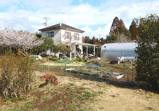 山武市麻生新田　中古戸建の庭|敷地約158坪　家庭菜園が可能です。２LDK  自然豊かな閑静な立地　ハウス内でサボテン栽培中