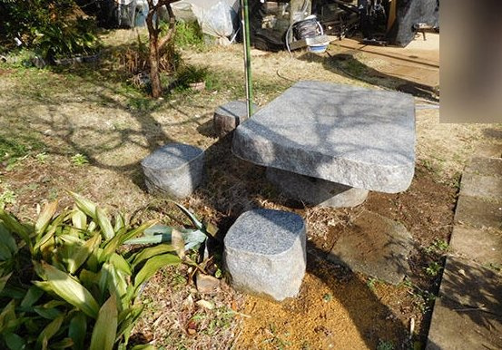山武市麻生新田　中古戸建の庭|敷地約158坪　家庭菜園が可能です。２LDK  自然豊かな閑静な立地　ハウス内でサボテン栽培中