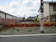 K11999-鳳徳の画像