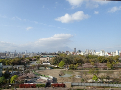 【展望】 | ラシーヌ阿倍野 | 天王寺動物園が一望できます。